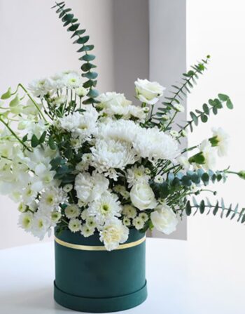 Ivory Haze Of Velvet Petals