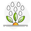 plant3-icon4